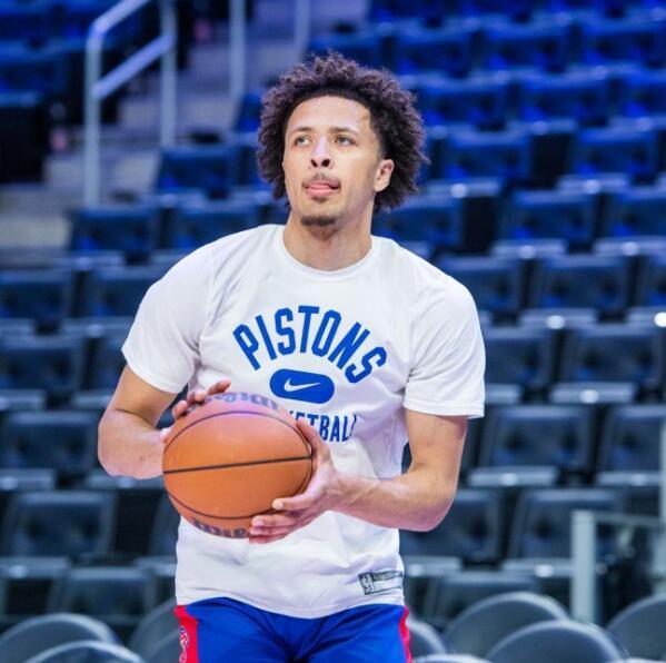 术的展示 术的展示